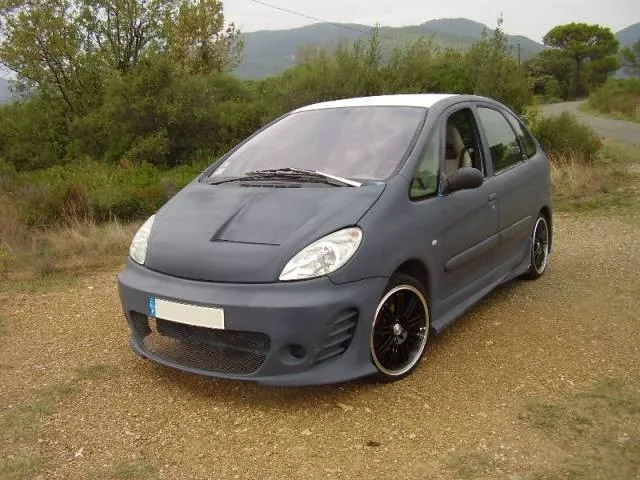 Paragolpes Delantero Citroen Picasso